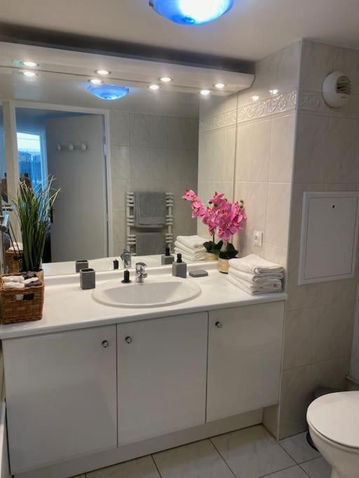 Apartment Magnifique Duplex 45 M2 Aux Portes De Paris Metro Barbara A 30mn Expo Porte De Versailles